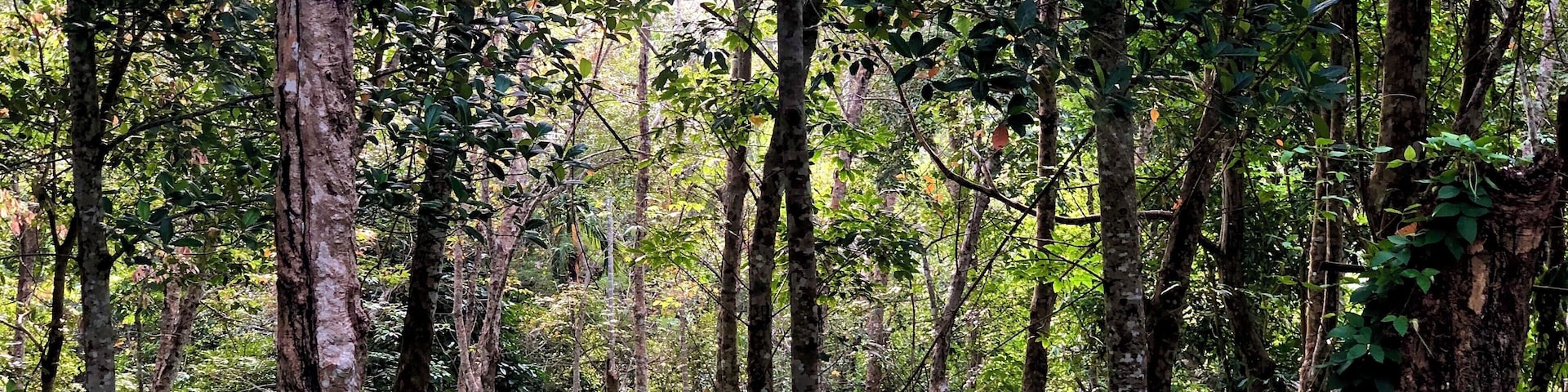 Look close. Do you see the house?  What’s it like to be sooo off the grid? More like, what’s it like to make this hike everyday?