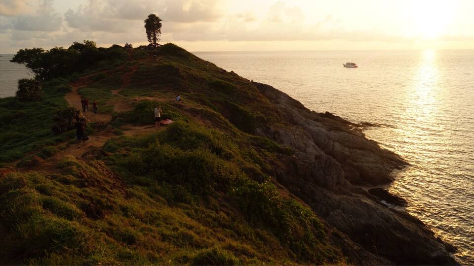 A coastal landscape with a grassy hill, a lone tree, and a boat on the water.