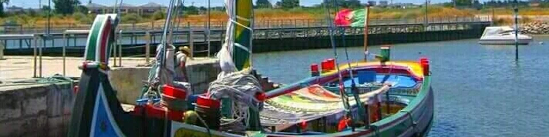 A colorful sailboat docked at a marina with a clear blue sky and calm water.