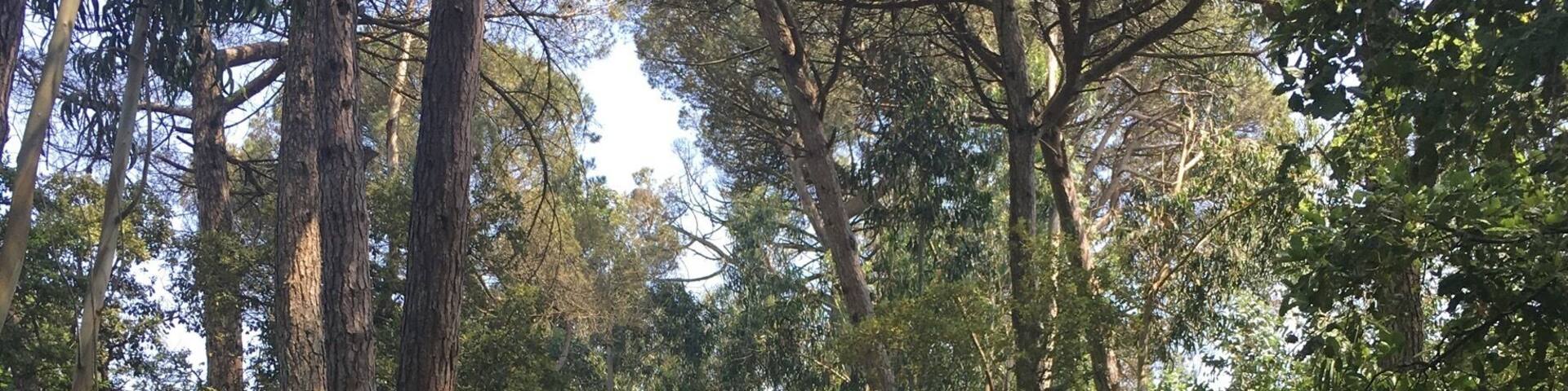 #NatureWalk in Rota do Sizandro, to keep the legs moving and enjoy the weekend. During the walk we pass through old mills, forest path and long fields.