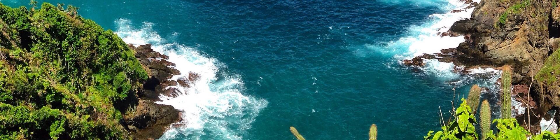 Looking east from the upper view point on #LittleTobago Island. This amazing place is home to an impressive number of nesting seabirds. Species which can be found here include: Red-billed Tropicbird, Red-footed Booby, Brown Booby and several thousand Magnificent Frigatebirds which nest out on the smaller islands in the distance. A must visit for any birder or nature enthusiast who travel to Tobago.
To get here: You can easily hire a boat from Speyside of at the Blue Waters Inn to take you out to Little Tobago Island. The majority of people make this a snorkelling trip but I highly recommend you go to see the birds. Many of the boat tour operators know their birds and natural history quite well.