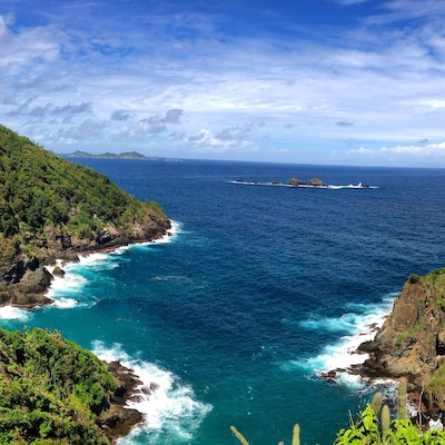 Looking east from the upper view point on #LittleTobago Island. This amazing place is home to an impressive number of nesting seabirds. Species which can be found here include: Red-billed Tropicbird, Red-footed Booby, Brown Booby and several thousand Magnificent Frigatebirds which nest out on the smaller islands in the distance. A must visit for any birder or nature enthusiast who travel to Tobago.
To get here: You can easily hire a boat from Speyside of at the Blue Waters Inn to take you out to Little Tobago Island. The majority of people make this a snorkelling trip but I highly recommend you go to see the birds. Many of the boat tour operators know their birds and natural history quite well.