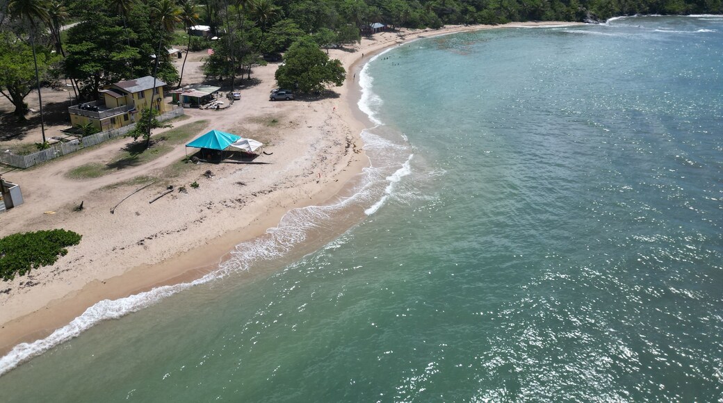 Aerial view of Toco coastal view in Trinidad
