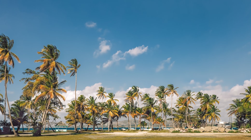 หมู่บ้าน Bon Accord