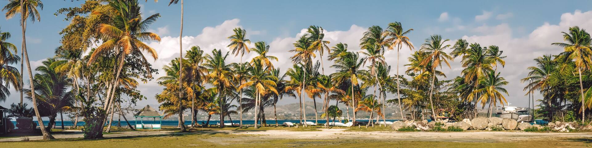 Coconut palm trees by the sea coast , beautiful tropical landscape background with blue sky and white clouds. Pigeon Point beacs klub. Tobago. Carribean island.