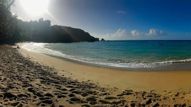 Panorama of the beautiful Englishman's Bay on the Caribbean island of Tobago (Trinidad and Tobago, West Indies) between Castara and Parlatuvier