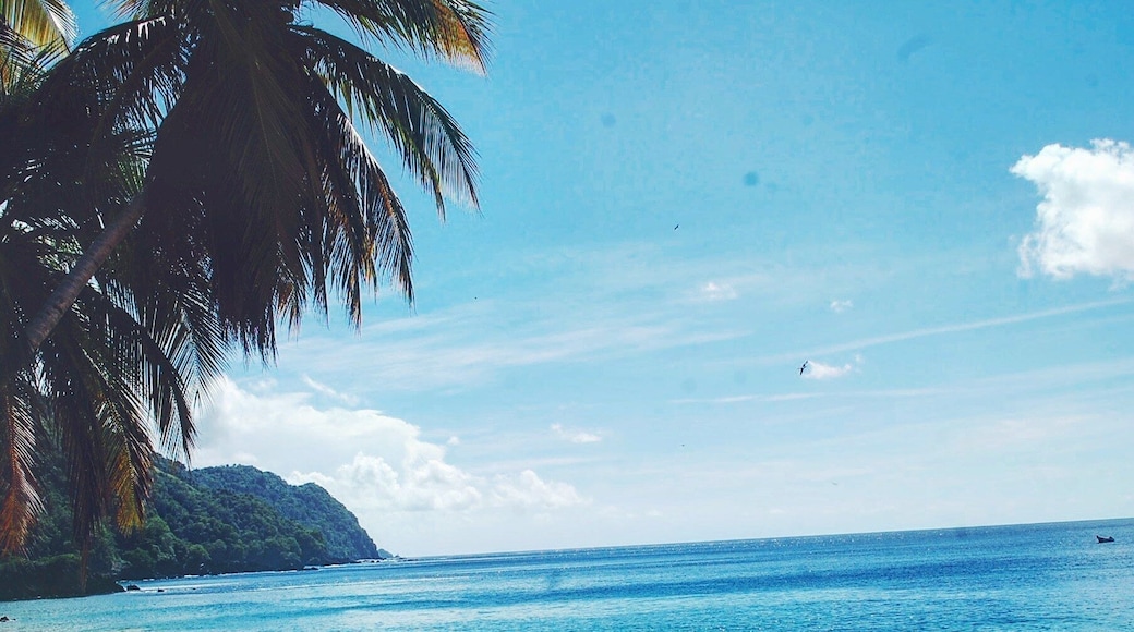 A very open beach that is serene and almost has a split personality. It's quiet and remote on one side but full of life at times from the fishermen bringing in and selling their catch of the day right there. The night bonfires are also vybz!