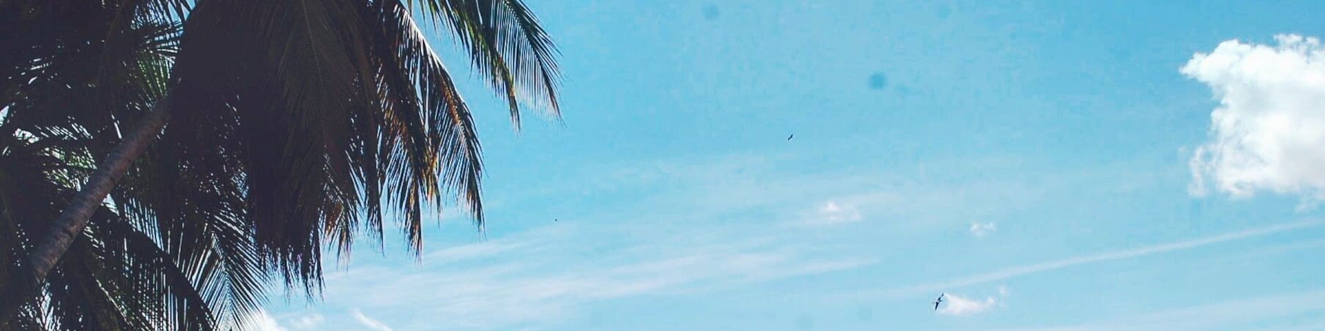 A very open beach that is serene and almost has a split personality. It's quiet and remote on one side but full of life at times from the fishermen bringing in and selling their catch of the day right there. The night bonfires are also vybz!