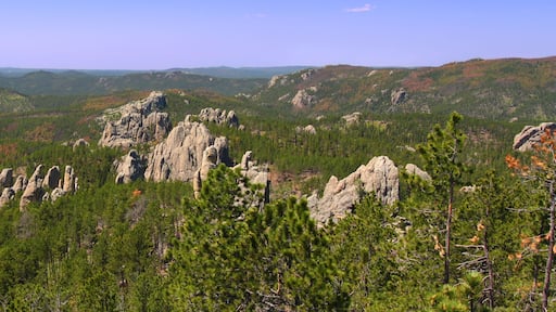 Needles Rock Formations