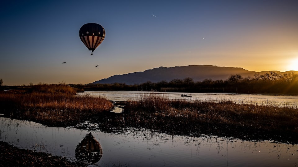 Hot air balloons over the Rio Grande river at sunrise next to flying birds in Albuquerque New Mexico