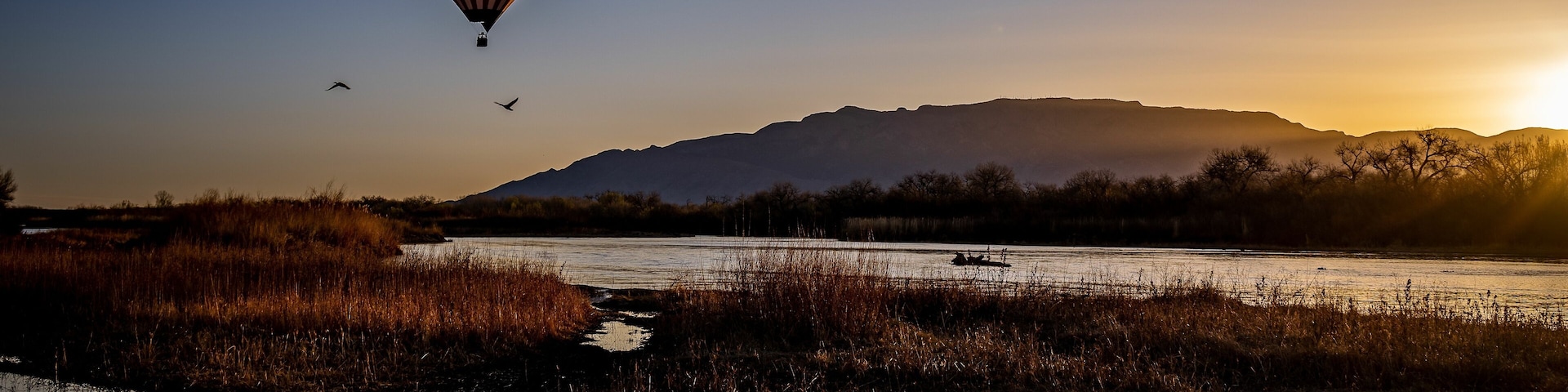 Hot air balloons over the Rio Grande river at sunrise next to flying birds in Albuquerque New Mexico