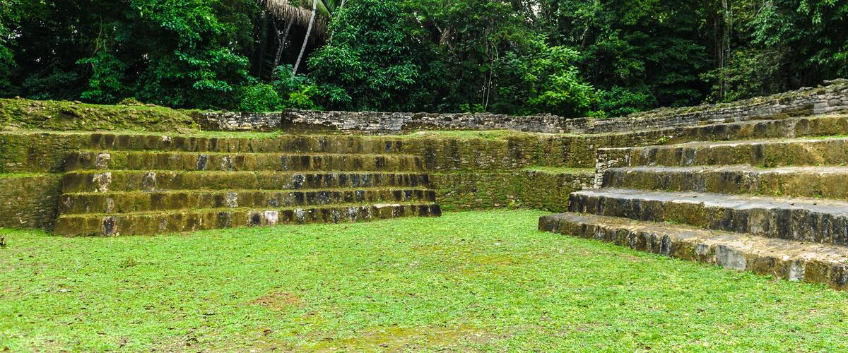 A stone staircase leading up to a temple in a lush, green forest.