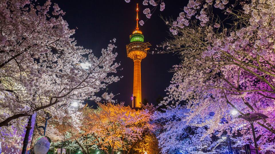 A tower with a green and orange illuminated top, surrounded by cherry blossom trees at night.