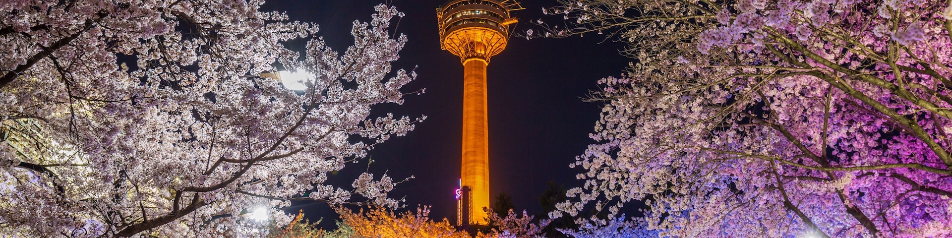 Una torre con la parte superior iluminada en verde y naranja, rodeada de árboles de cerezo por la noche.