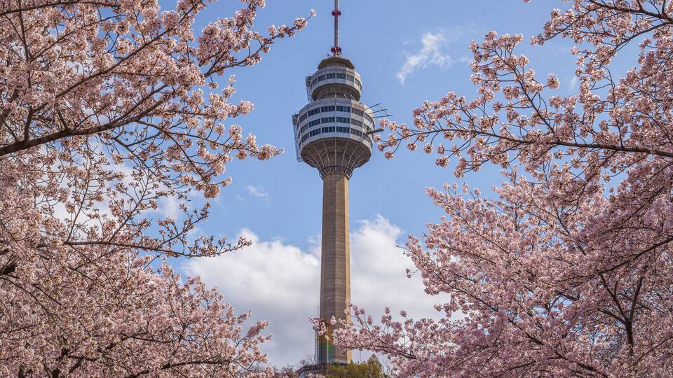 A tower with a spiral staircase, surrounded by cherry blossom trees.
