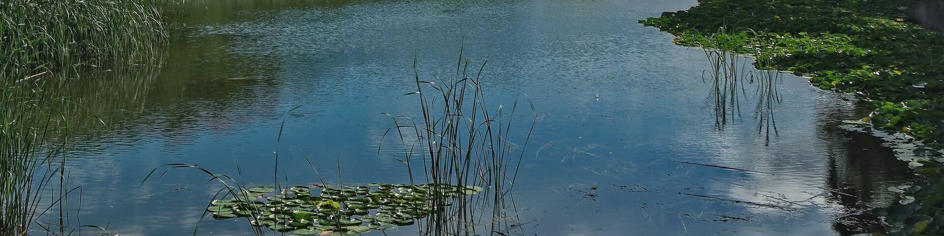 Daegu Duryu Park is home to Daegu Tower (the tallest observation tower in Korea), Ubang Tower Land, Daegu Culture and Arts Center, and numerous other cultural and leisure facilities. The park is a favorite relaxation spot for many Daegu citizens.