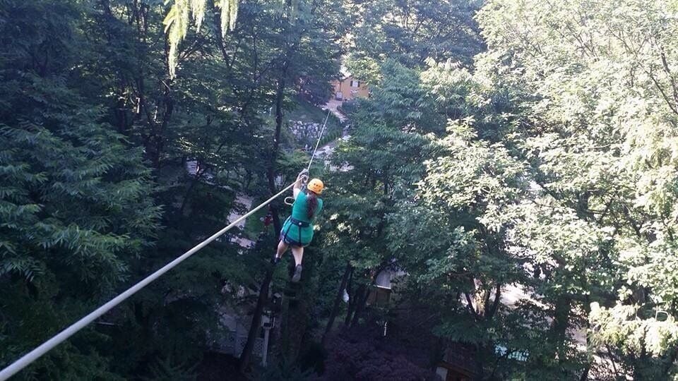 Awesome park to visit.  One of the highlights is the zip lining courses they have, different levels good for people of all ages and skills.