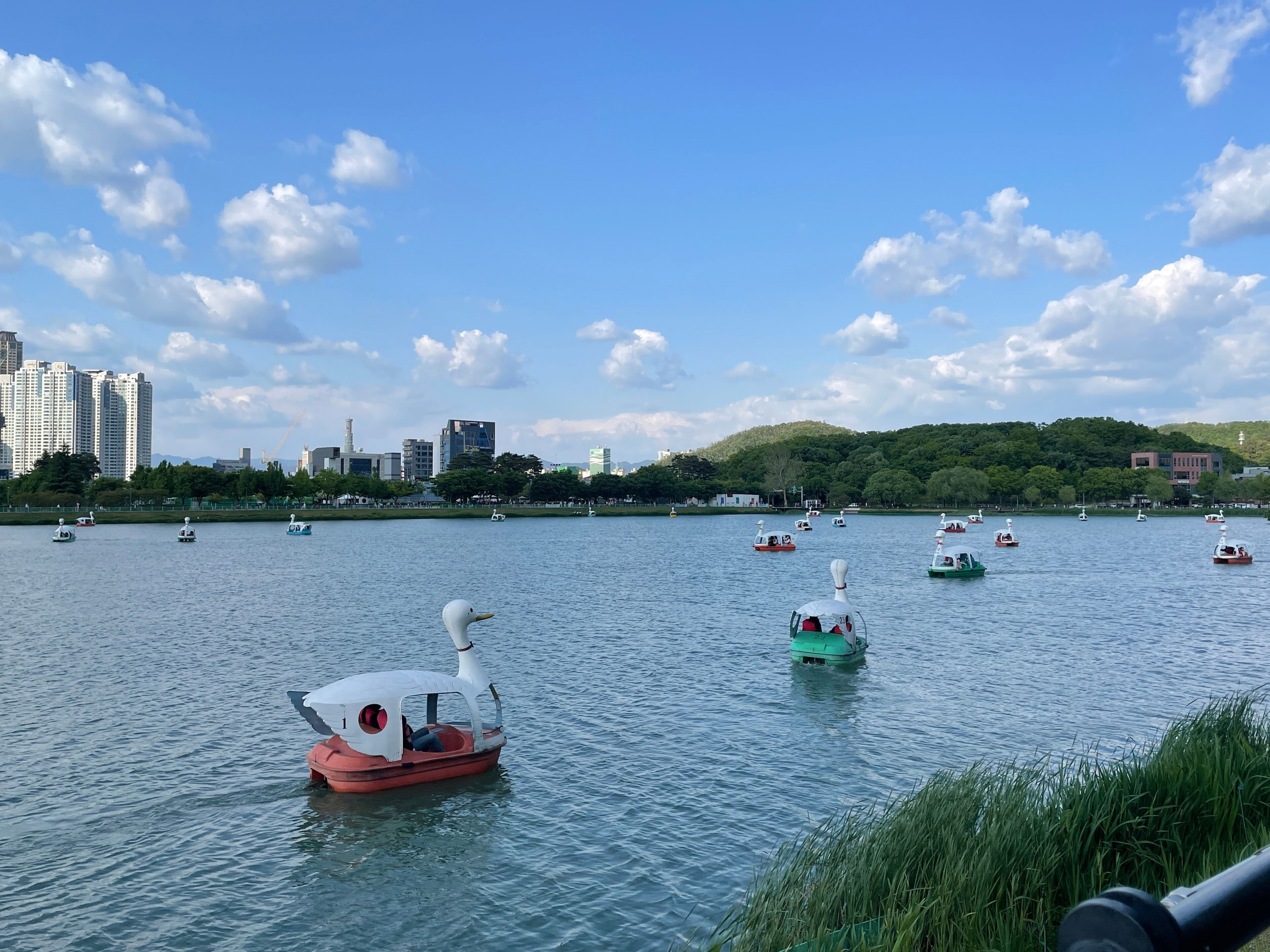 Korea 대한민국 대구 수성구 수성못 오리배 잔잔한 호수
