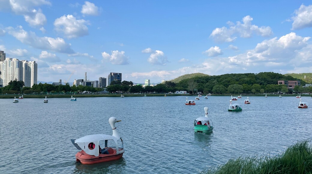 Korea 대한민국 대구 수성구 수성못 오리배 잔잔한 호수