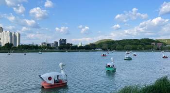 Korea 대한민국 대구 수성구 수성못 오리배 잔잔한 호수