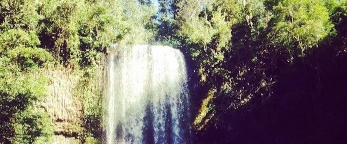 Hair flicking area ✌🏻️