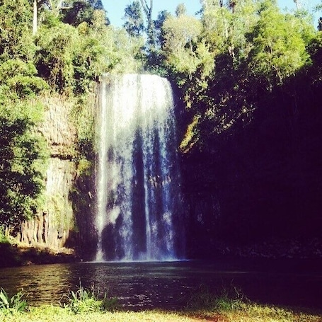 Hair flicking area ✌🏻️