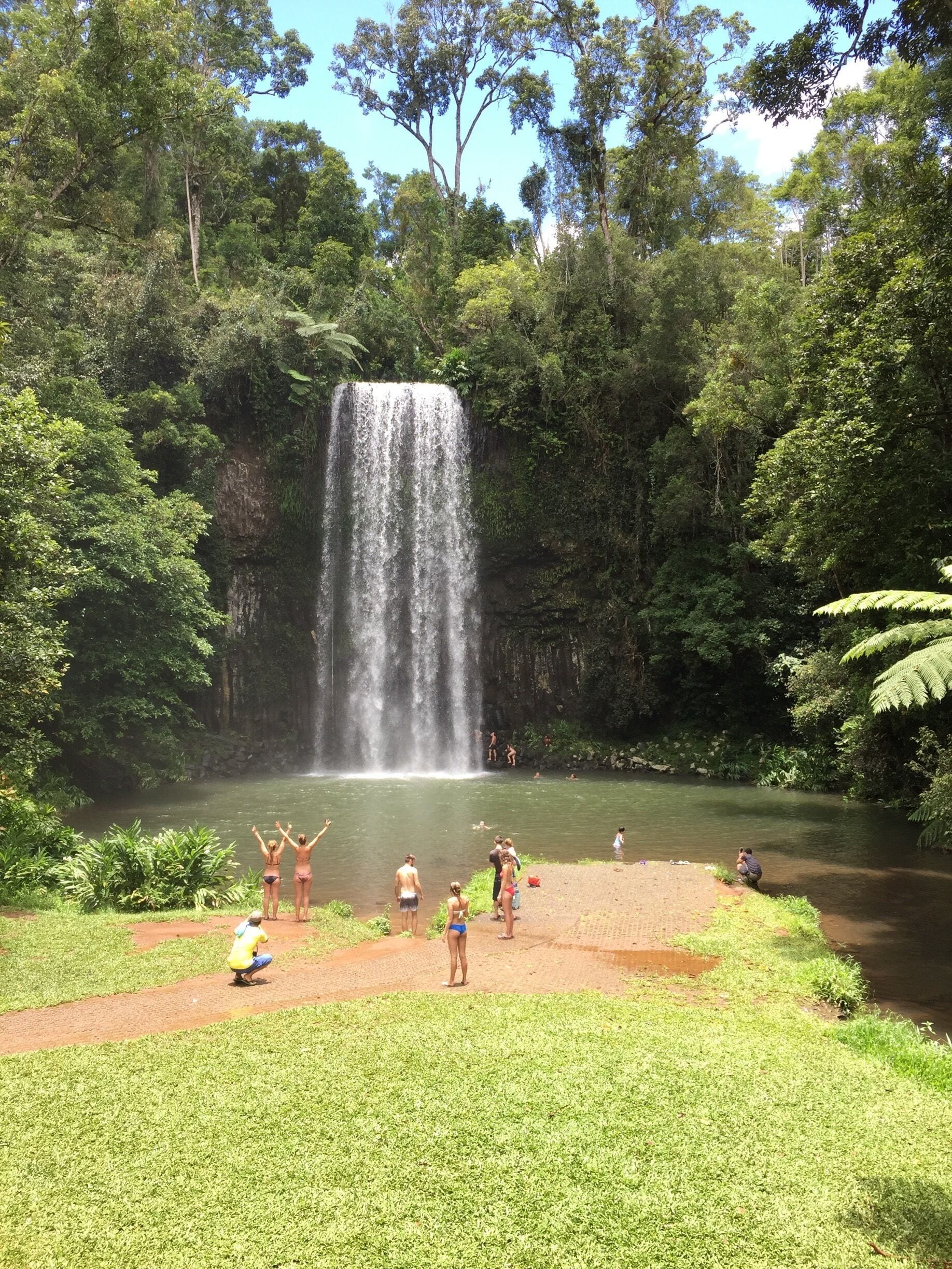 We stopped at the amazing Millaa Millaa waterfall for  dip as we drove along the waterfall circuit route in Queensland!