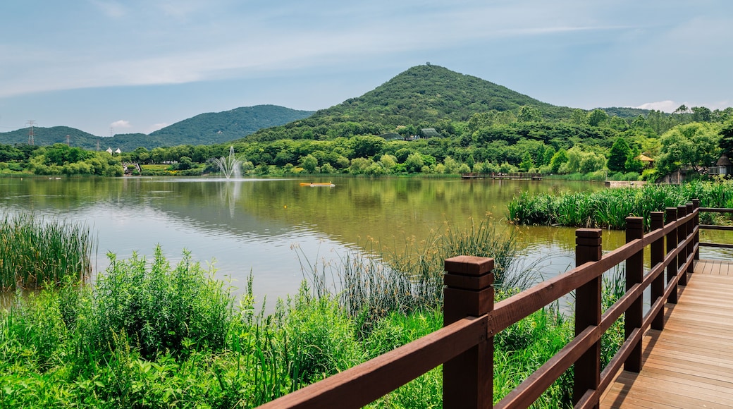 إولوانج - ري