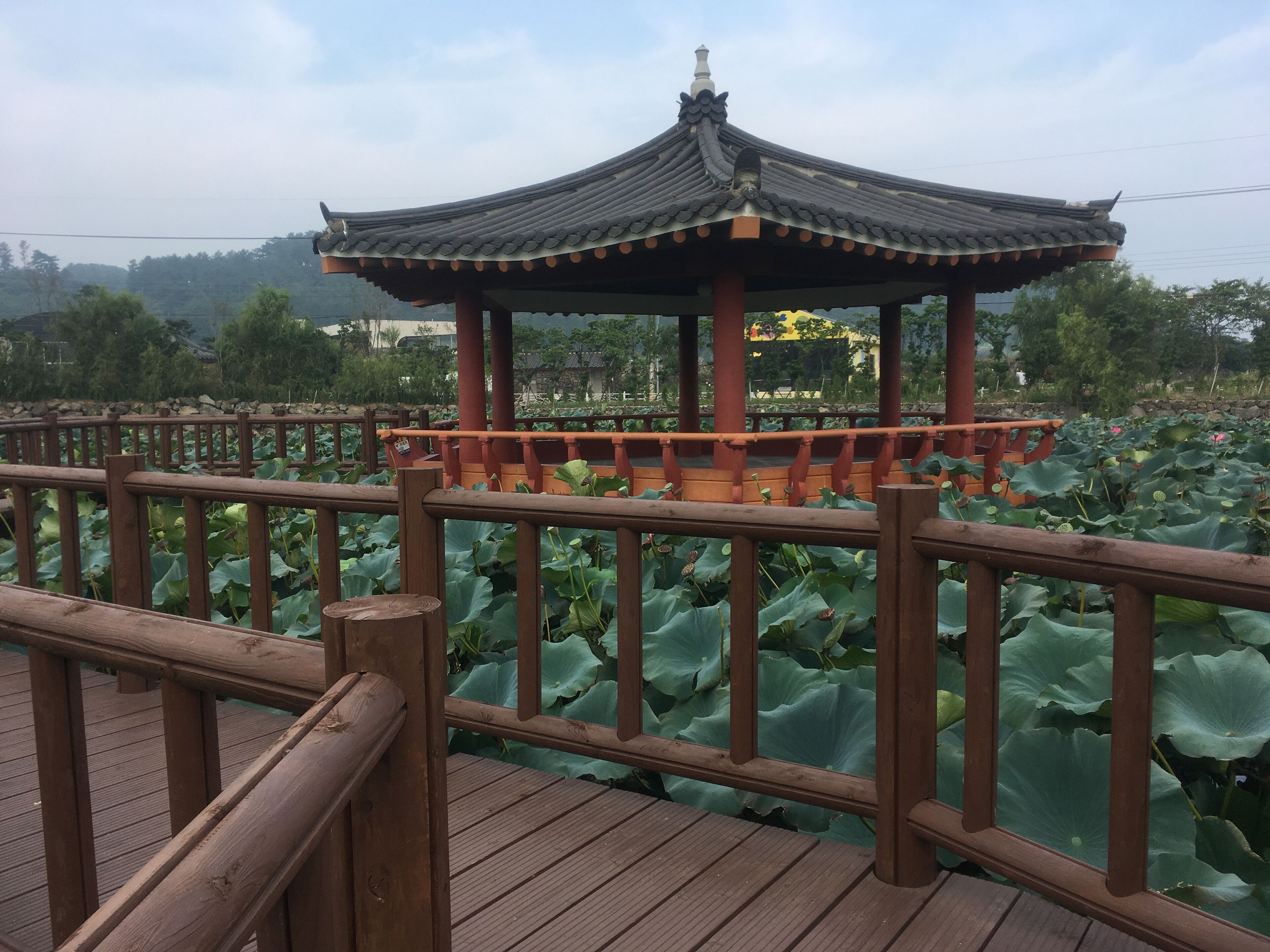 Gazébo (kiosque) en bois sur l'étang de lotus. Yeonhwamot Pond 연화못