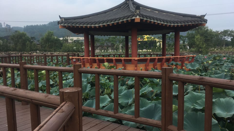 Gazรฉbo (kiosque) en bois sur l'รฉtang de lotus. Yeonhwamot Pond ์ฐํ๋ชป