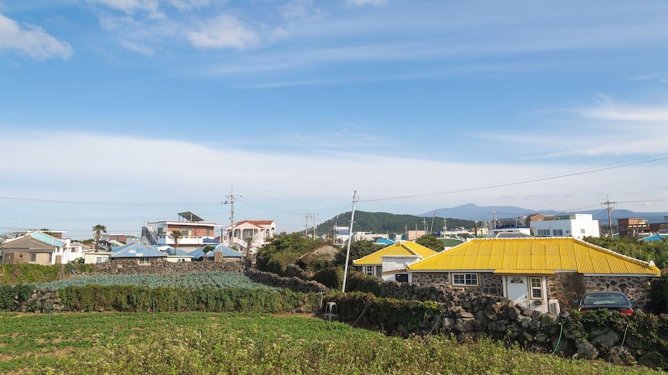 EyeEm Custom Shoots Q4 2018