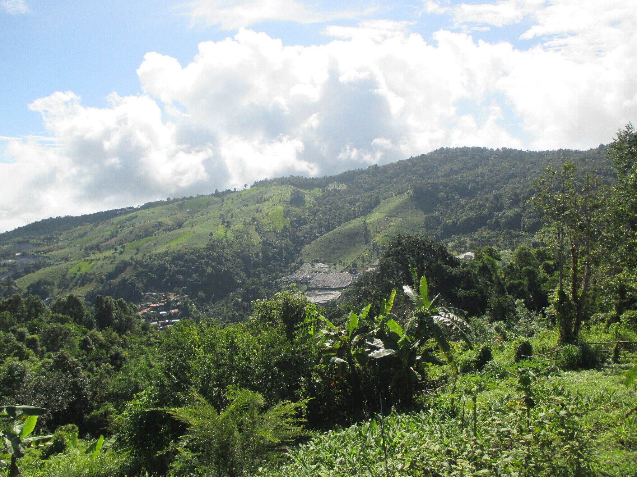 Views from the beautiful Limeleaf Ecolodge, between Chiang Mai and Chiang Rai in Thailand.

Be warned it's a bit of a hike to get to the cabins, but the view is worth it.
