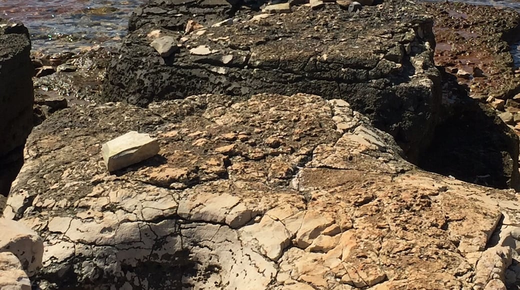 Beautiful quiet beach in a little village between Umag and Karigador, Istria..found these two little structures forming a lovely focus of the clear waters...