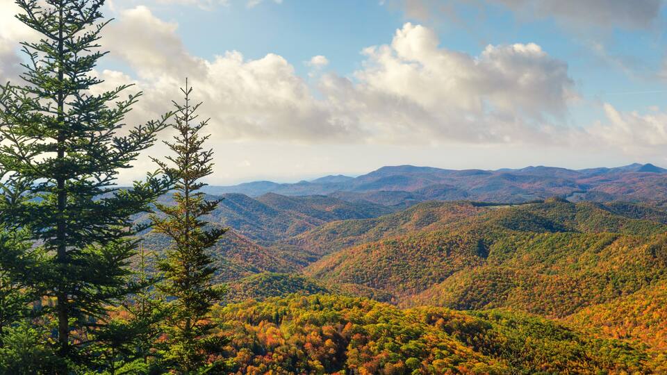 A mountainous landscape with autumn foliage.