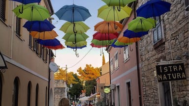 Una calle con paraguas de colores colgando sobre ella.