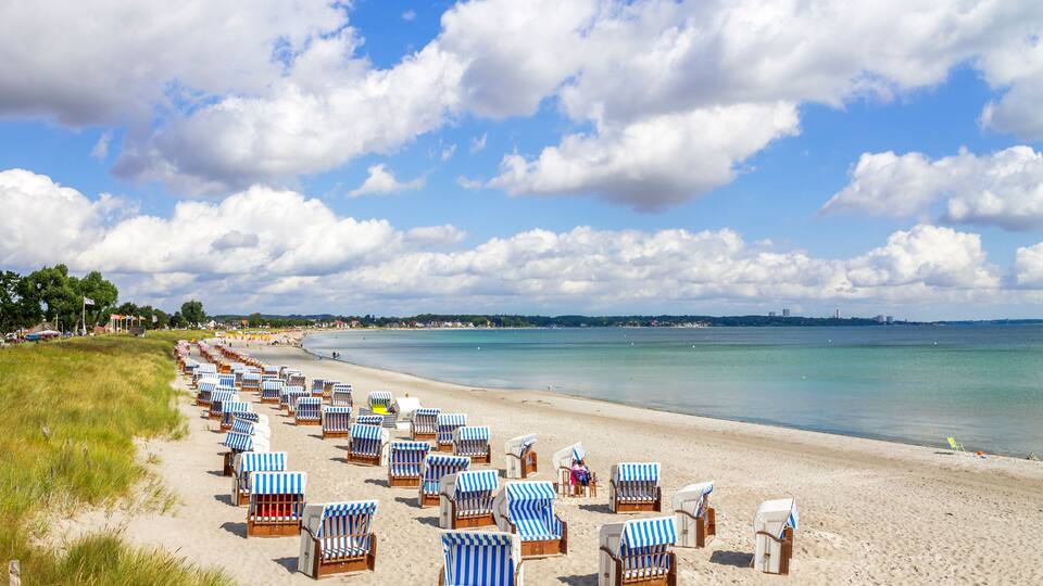 A beach with rows of striped beach chairs and a clear blue sky.