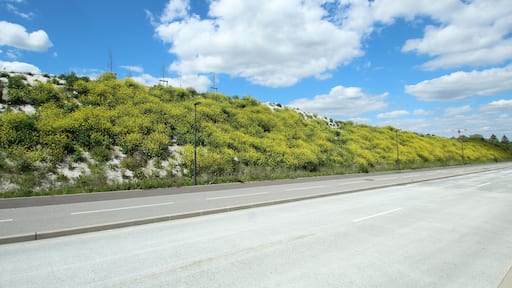 Bus lane Express 91-06 in Saint-Aubin, Essonne, France.