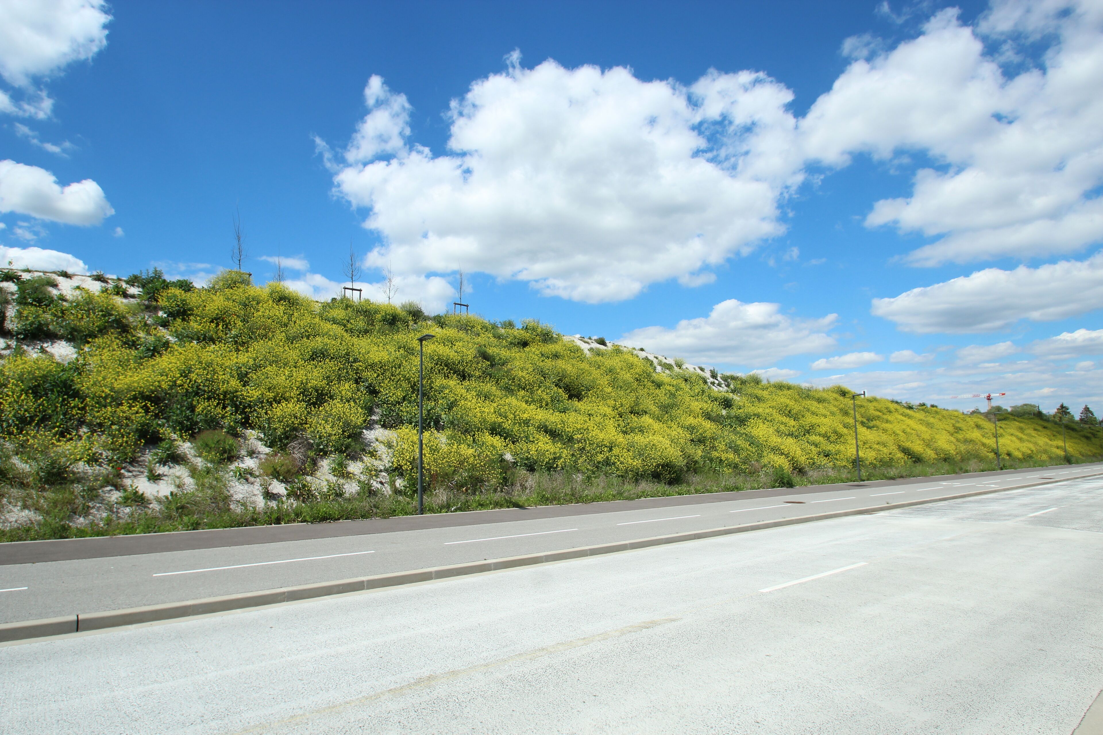 A highway with a grassy hillside and a clear blue sky.