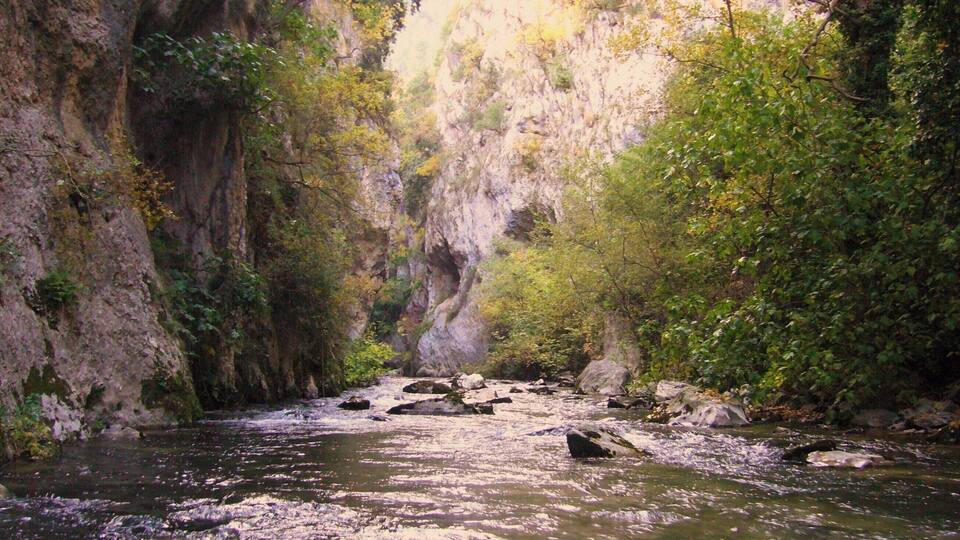 A river flowing through a canyon with rocky cliffs and dense foliage.