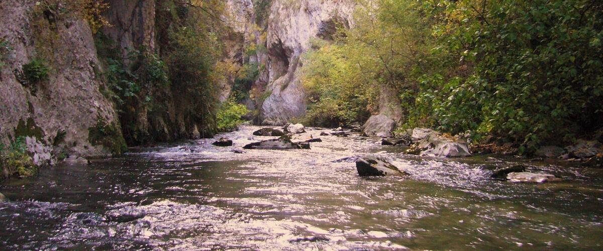 A river flowing through a canyon with rocky cliffs and dense foliage.