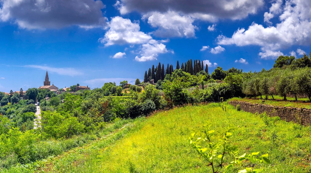 Mountain village Groznjan, Istria, Croatia