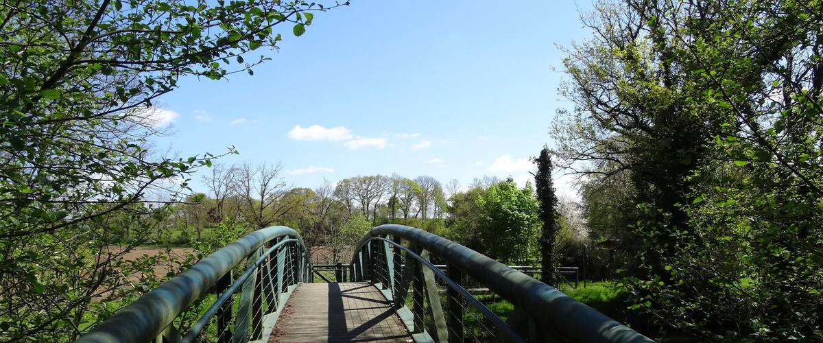 A wooden bridge with metal railings surrounded by greenery and trees.