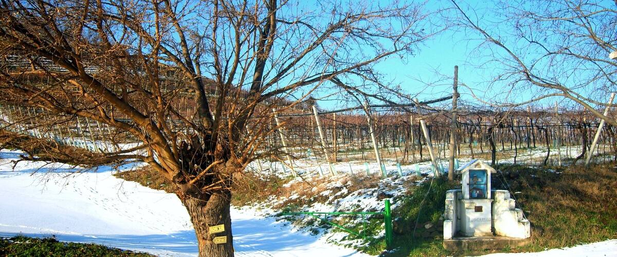 A snow-covered path with a tree and a small structure in the background.