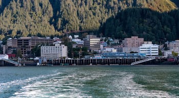 ดาวน์ทาวน์ จูโน