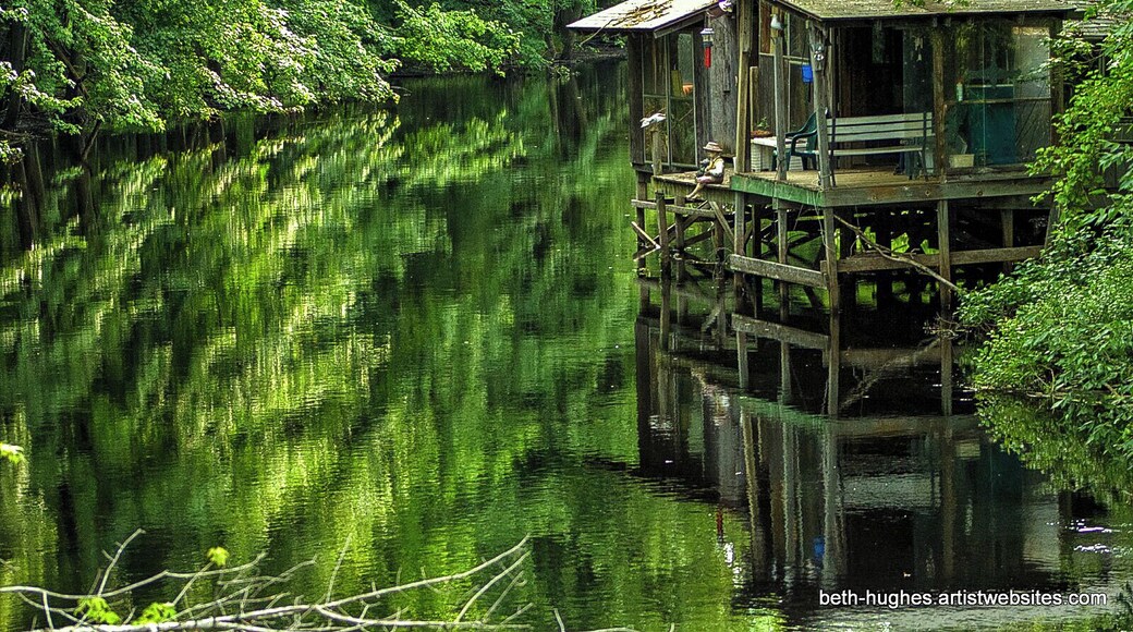 Along a creek I happened upon. The reflections almost made me dizzy.