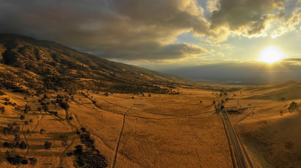 อาร์วิน