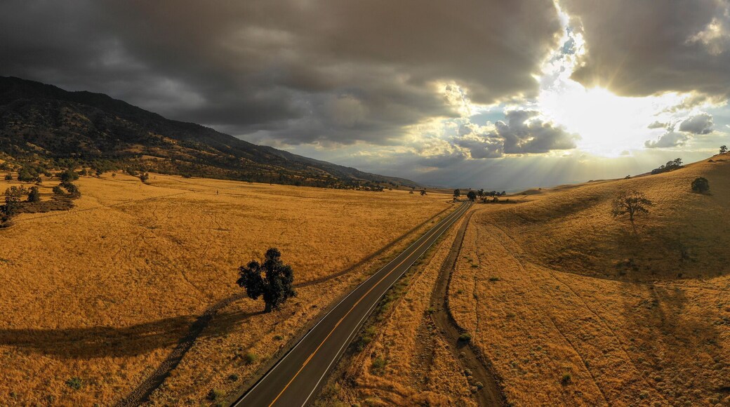 อาร์วิน