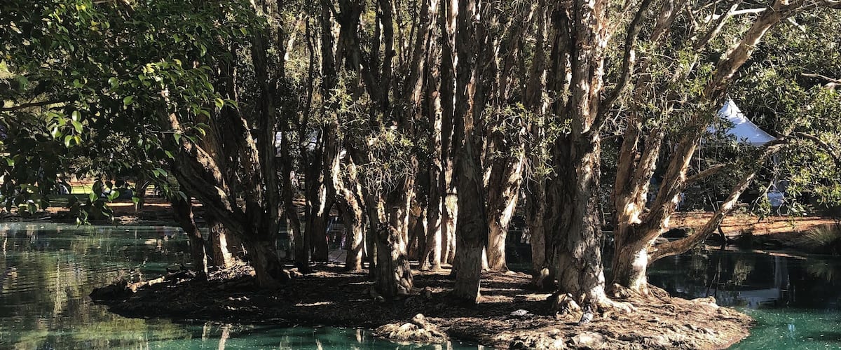 The color of the water is real. 😍