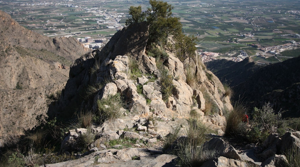 Callosa from La Plana