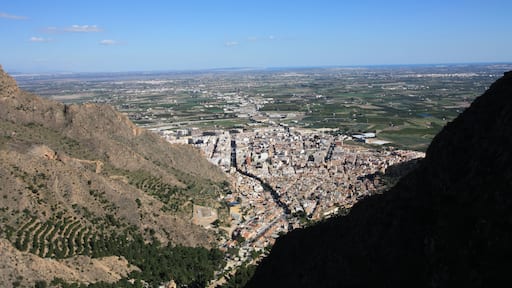 Callosa from La Plana